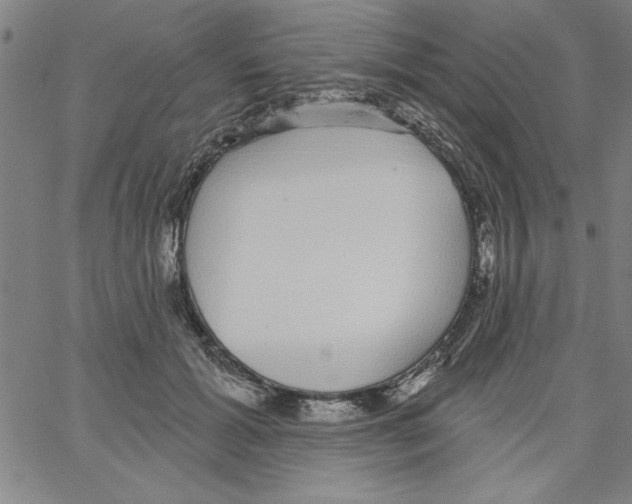 X0000066970605200604211908