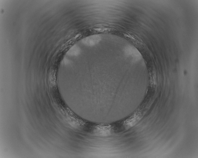 X0000066970606200604211908