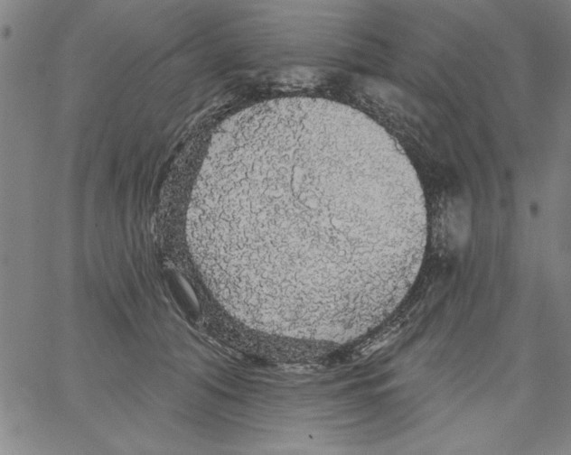 X0000066970608200604211908