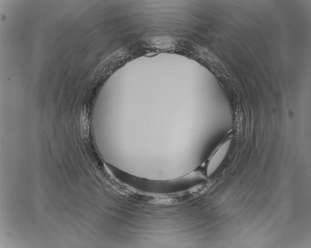 X0000066970609200604211908