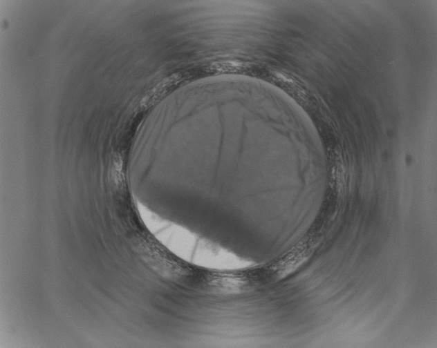 X0000066970610200604211908