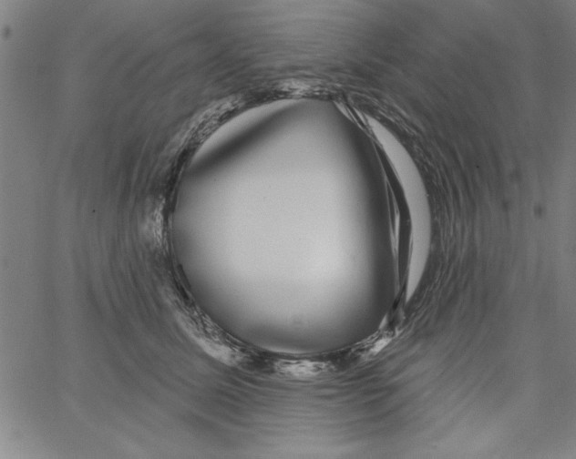 X0000066970611200604211908