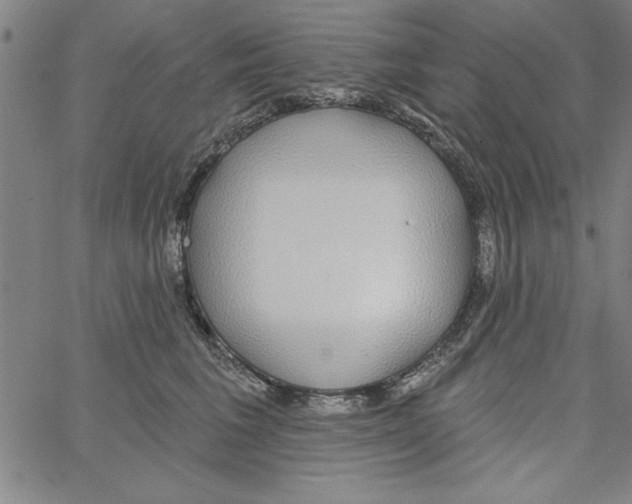 X0000066970613200604211908