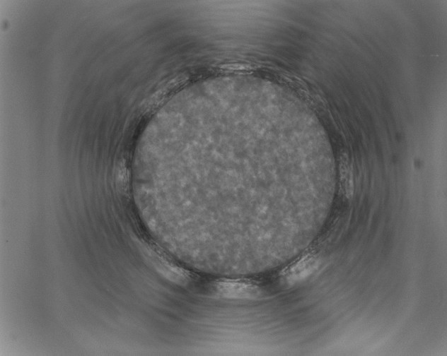 X0000066970614200604211908