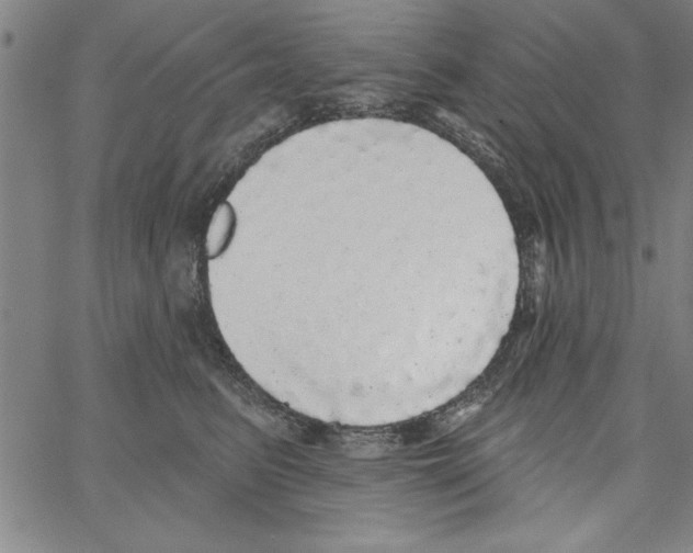 X0000066970615200604211908