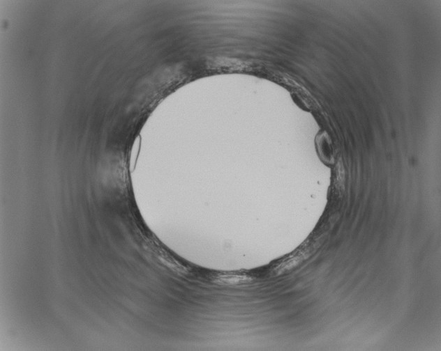 X0000066970617200604211908