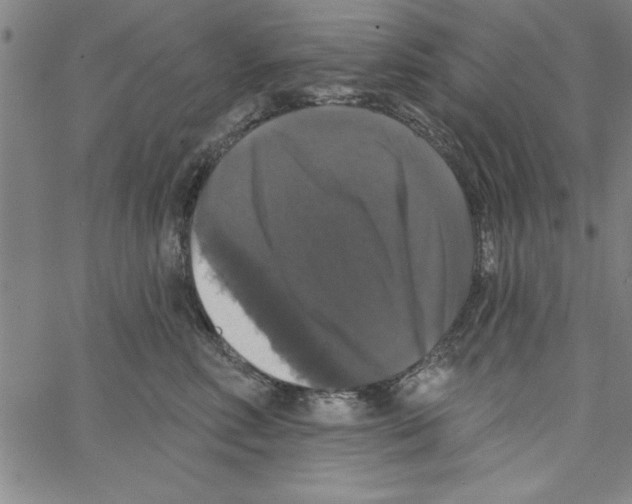 X0000066970618200604211908