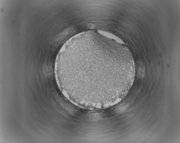 X0000066970620200604211908