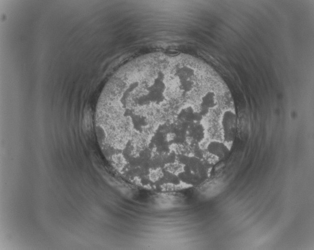 X0000066970623200604211908