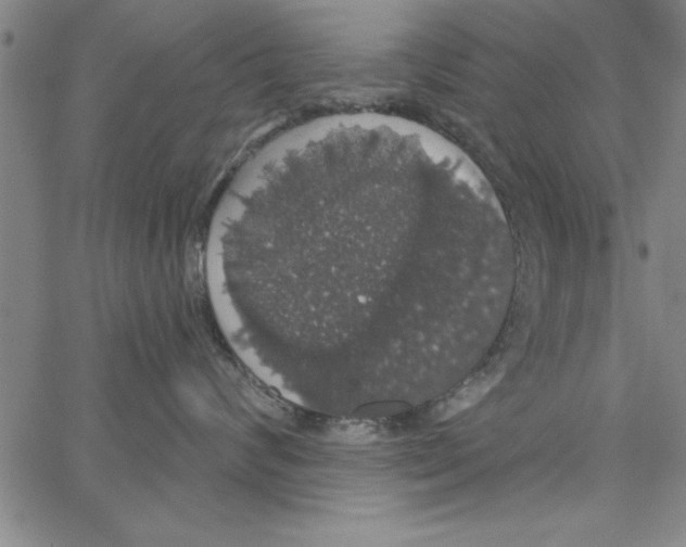 X0000066970624200604211908