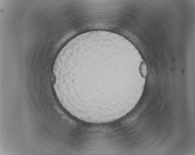 X0000066970625200604211907