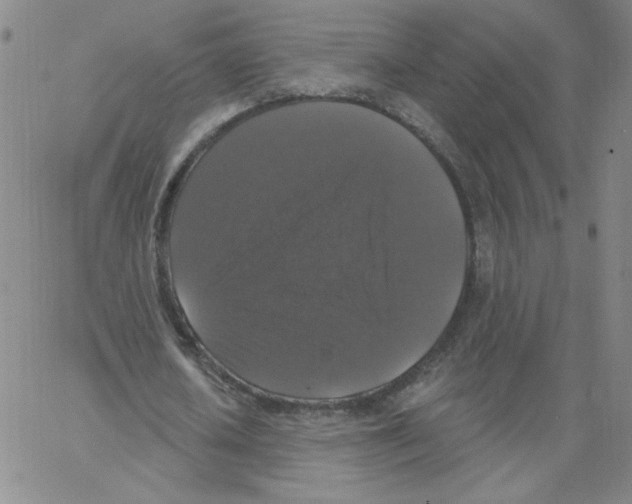 X0000066970626200604211907