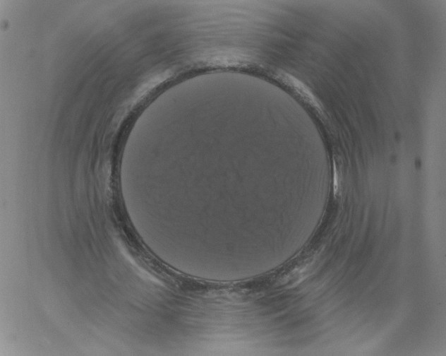 X0000066970627200604211907