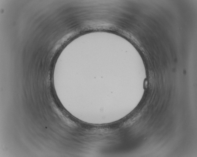 X0000066970629200604211907