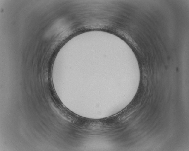 X0000066970631200604211907