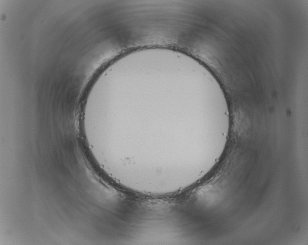 X0000066970632200604211907