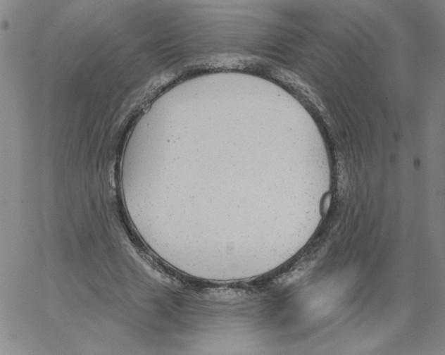 X0000066970633200604211907