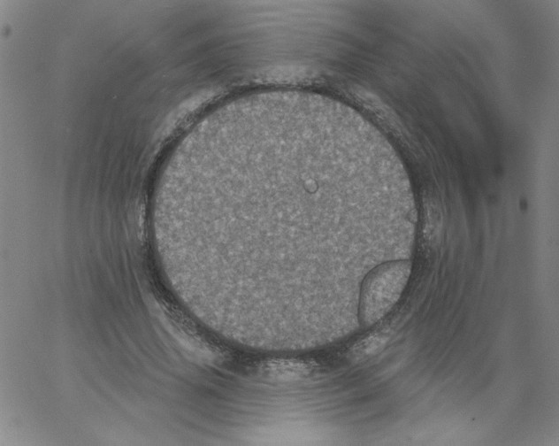 X0000066970636200604211907