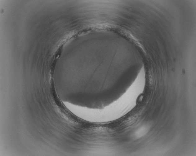 X0000066970637200604211907