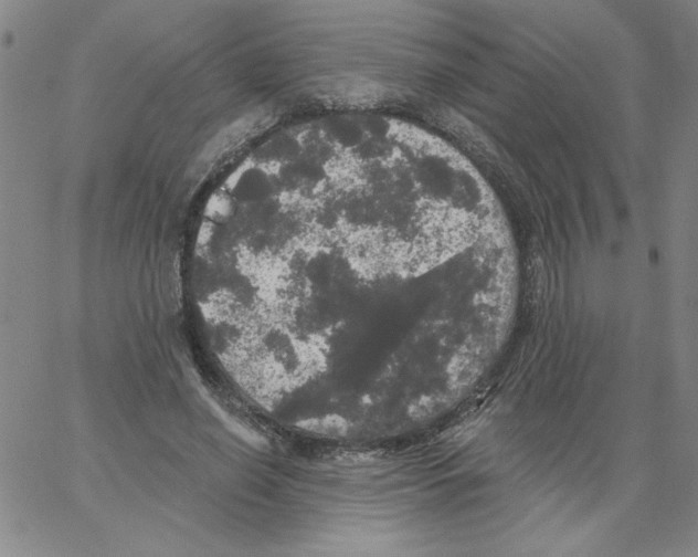 X0000066970638200604211907