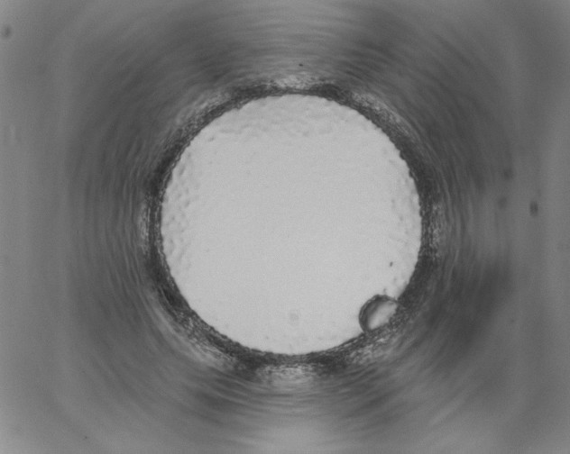 X0000066970639200604211907