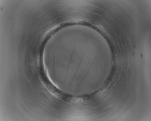 X0000066970640200604211907