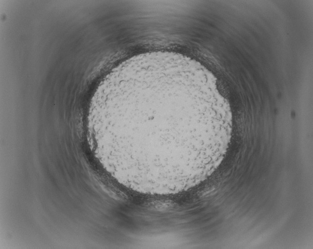 X0000066970642200604211907