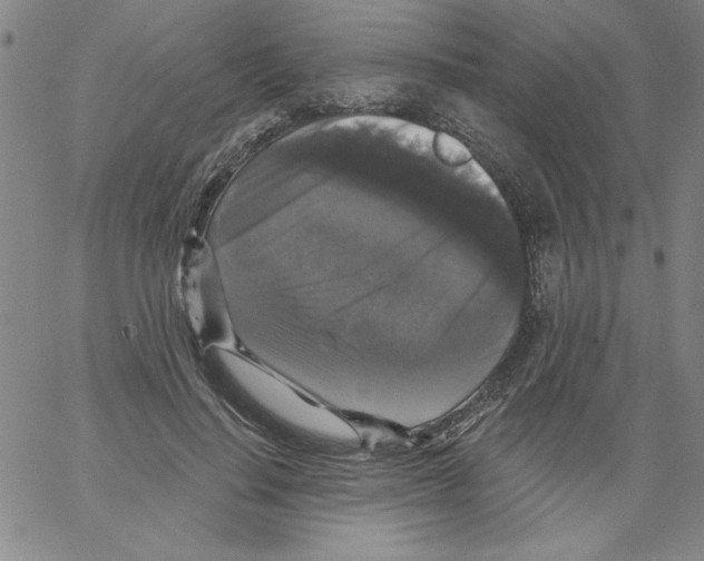 X0000066970644200604211907