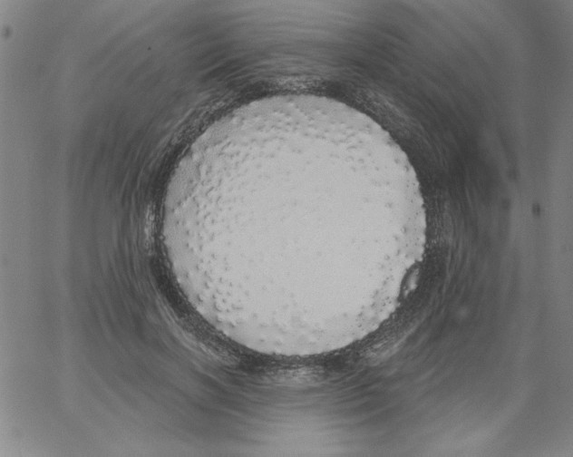 X0000066970646200604211907