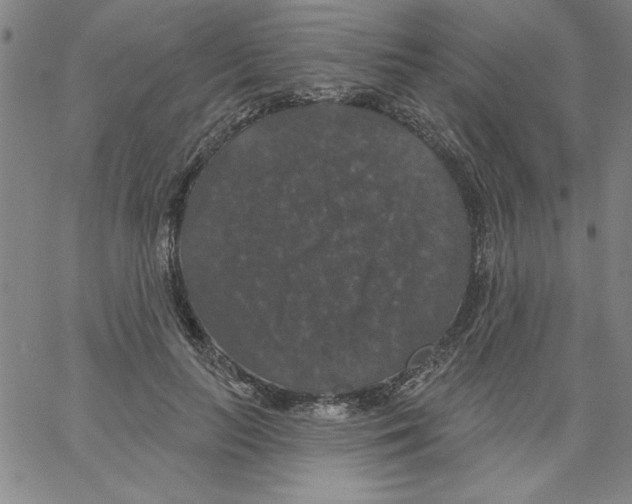 X0000066970647200604211907