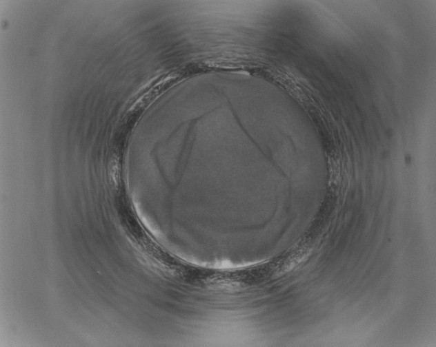 X0000066970648200604211907