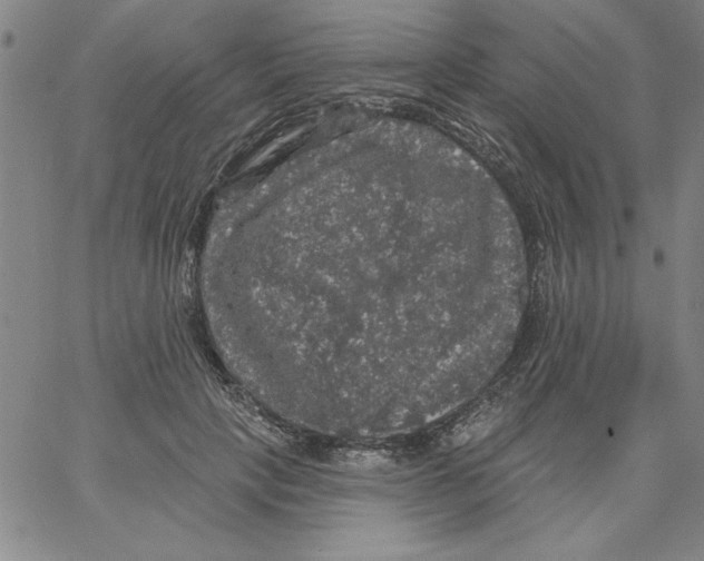 X0000066970649200604211907