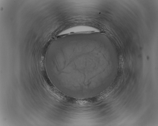 X0000066970650200604211907