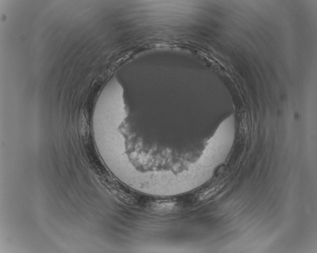 X0000066970651200604211907