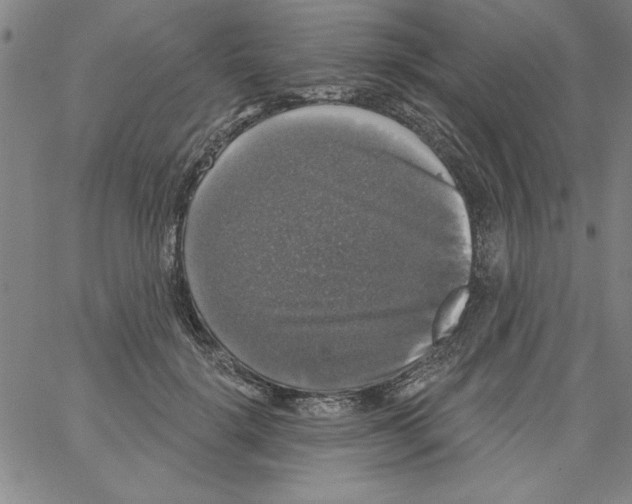 X0000066970652200604211907