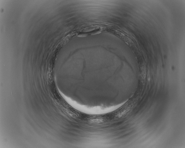 X0000066970653200604211907