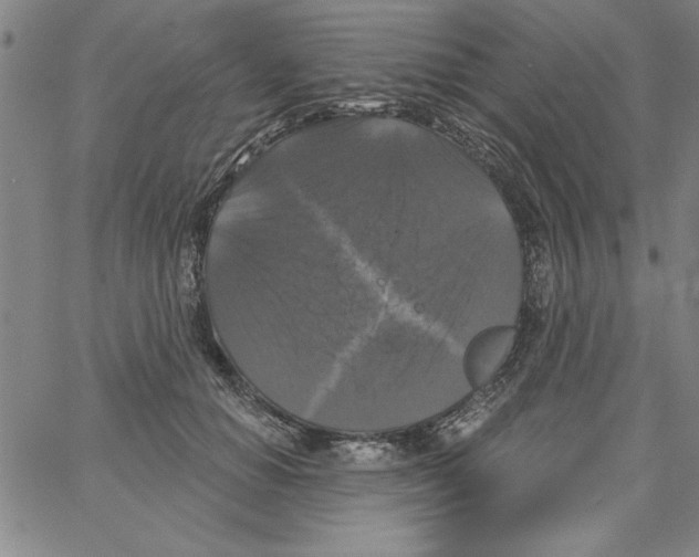 X0000066970654200604211908