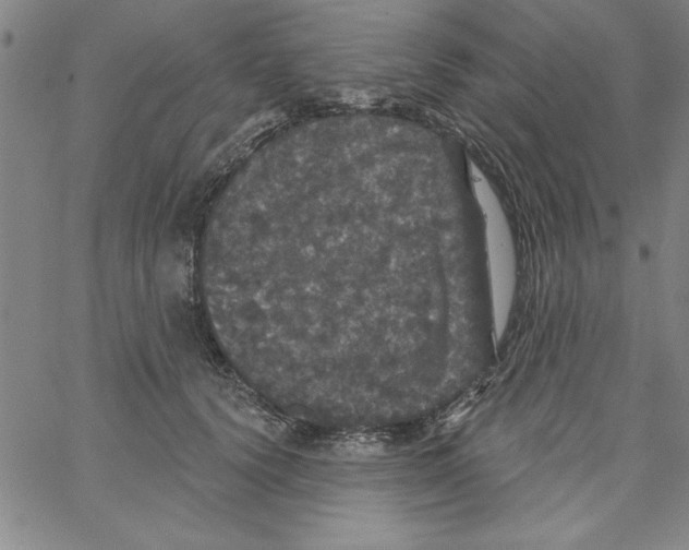 X0000066970656200604211908