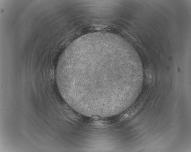 X0000066970657200604211908