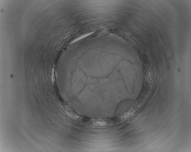 X0000066970658200604211908