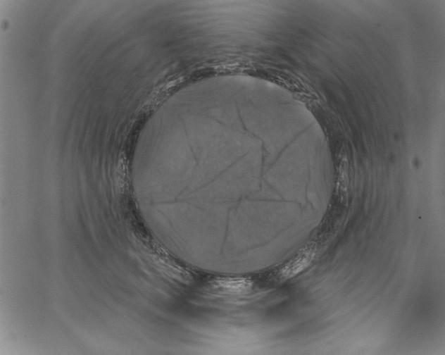 X0000066970659200604211908