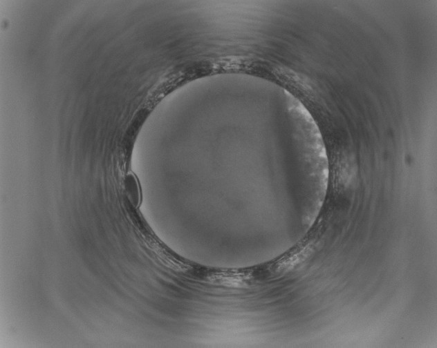 X0000066970661200604211908