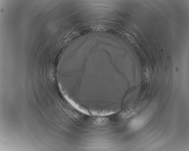 X0000066970663200604211908