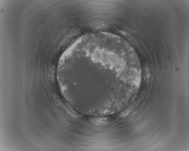 X0000066970664200604211908