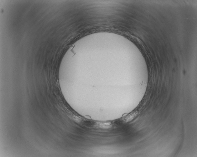 X0000066970665200604211908