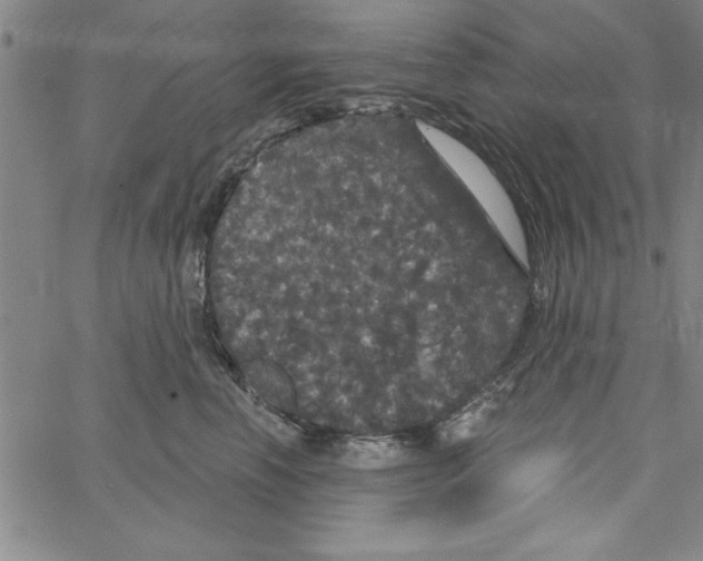 X0000066970666200604211908