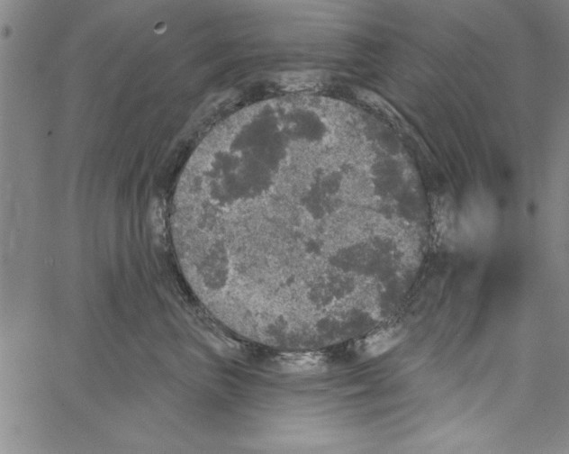 X0000066970667200604211908