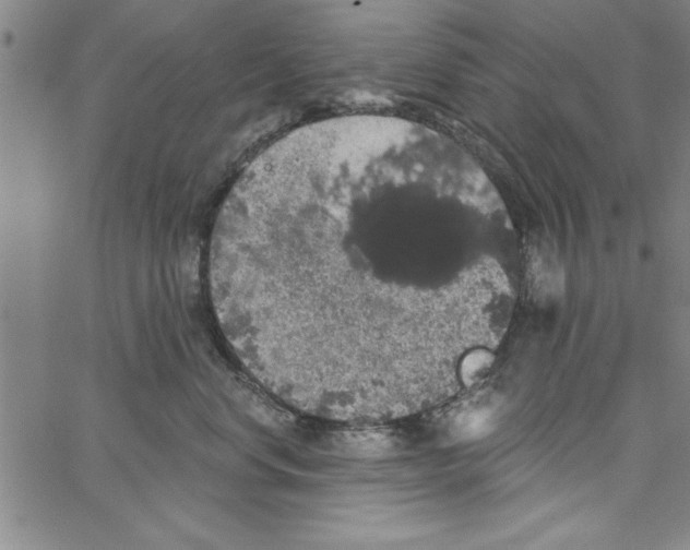 X0000066970668200604211908