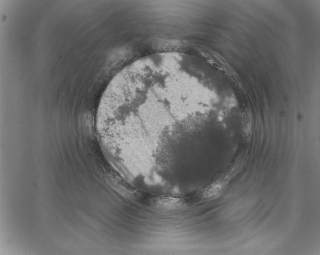 X0000066970669200604211908