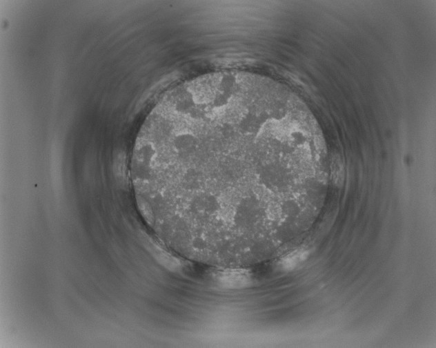 X0000066970670200604211908